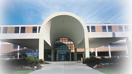 Site Picture