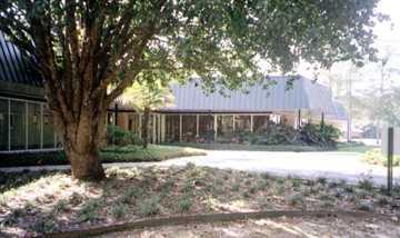 Site Picture