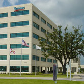 Site Picture