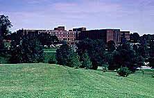 Site Picture