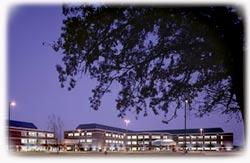 Site Picture