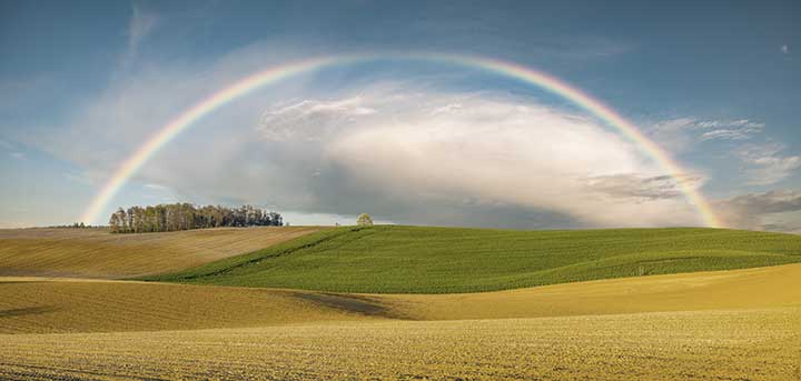 Do You Have The Top Incentives Rural Physicians Are Looking For