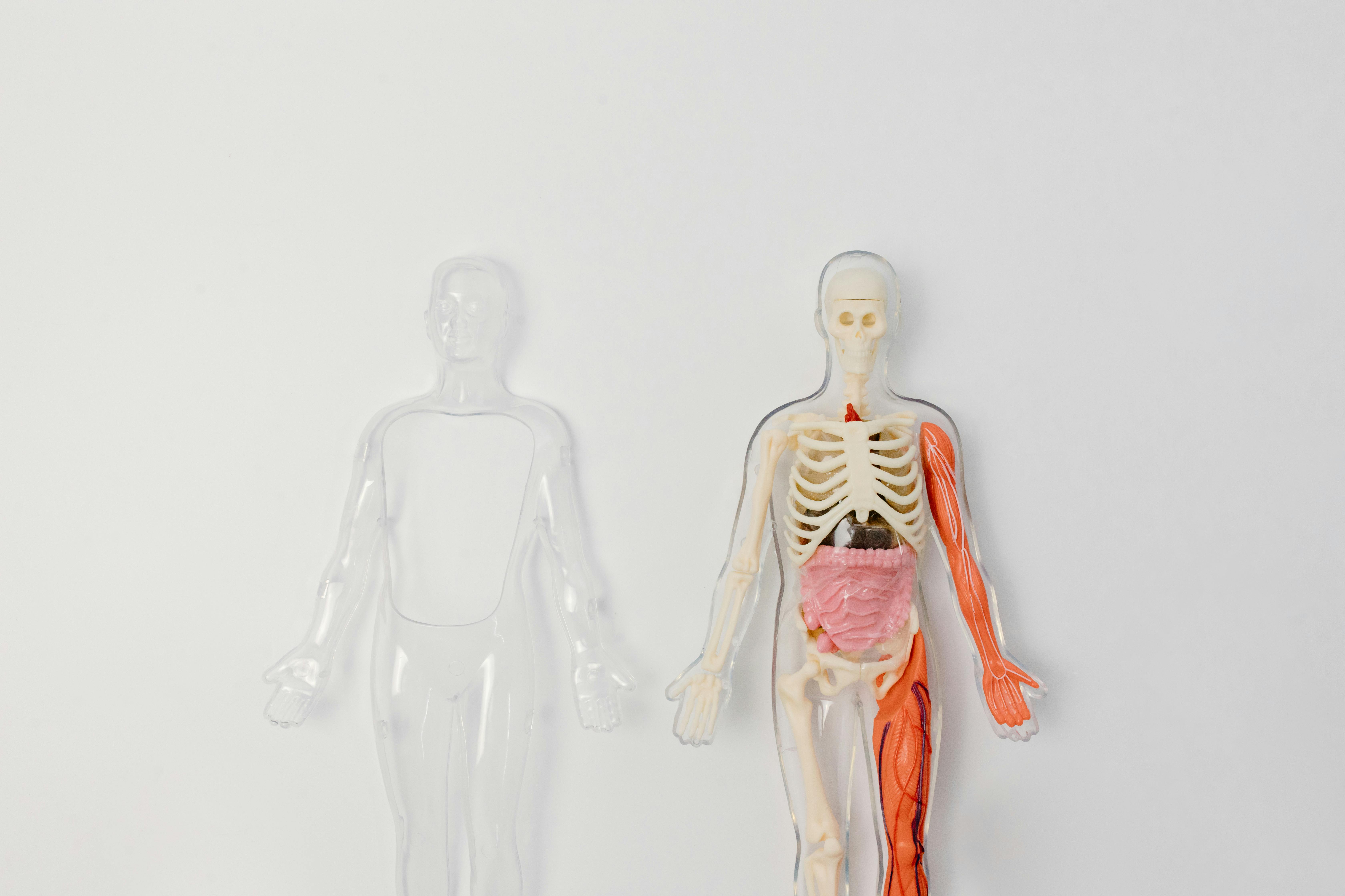 Medical School