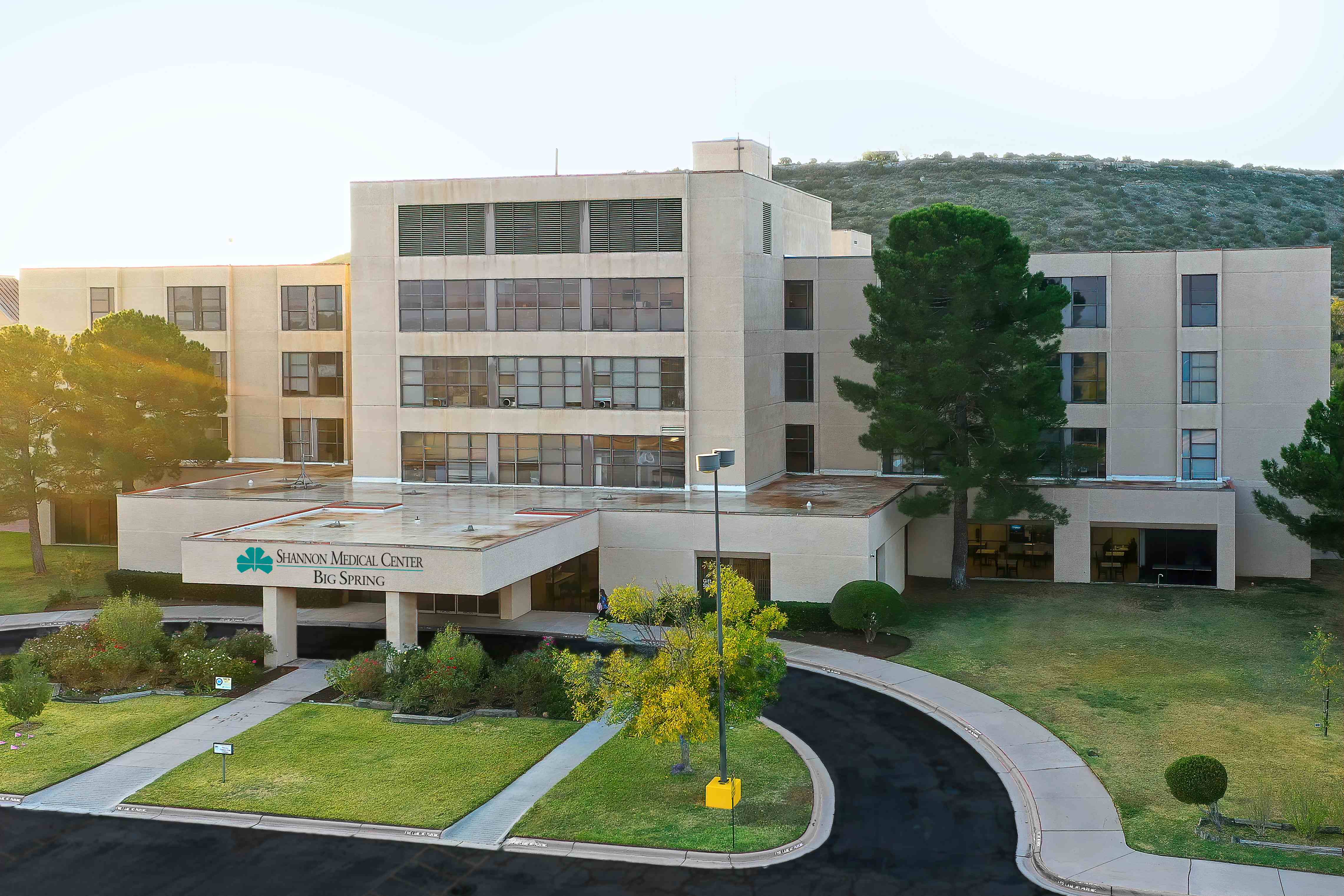 Site image