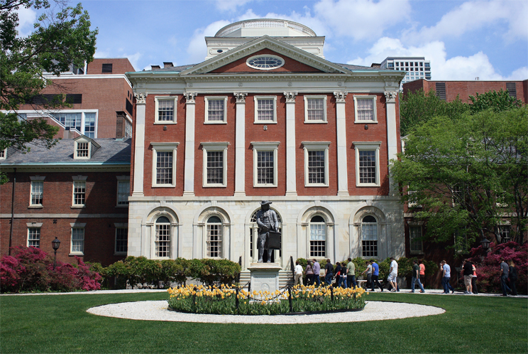 Site image