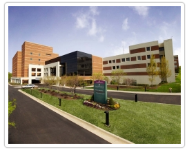 Site image