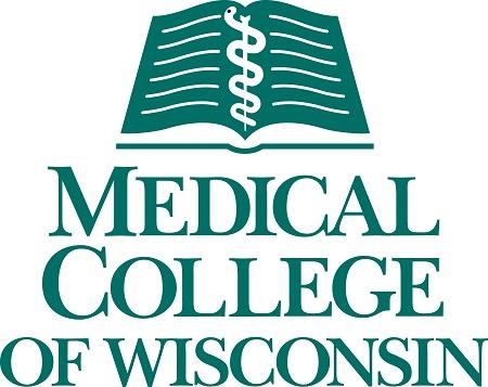 ACADEMIC GERIATRIC PSYCHIATRY POSITION, MEDICAL COLLEGE OF WISCONSIN, MILWAUKEE, WISCONSIN: EMPLOYED OPPORTUNITY - Medical College of Wisconsin