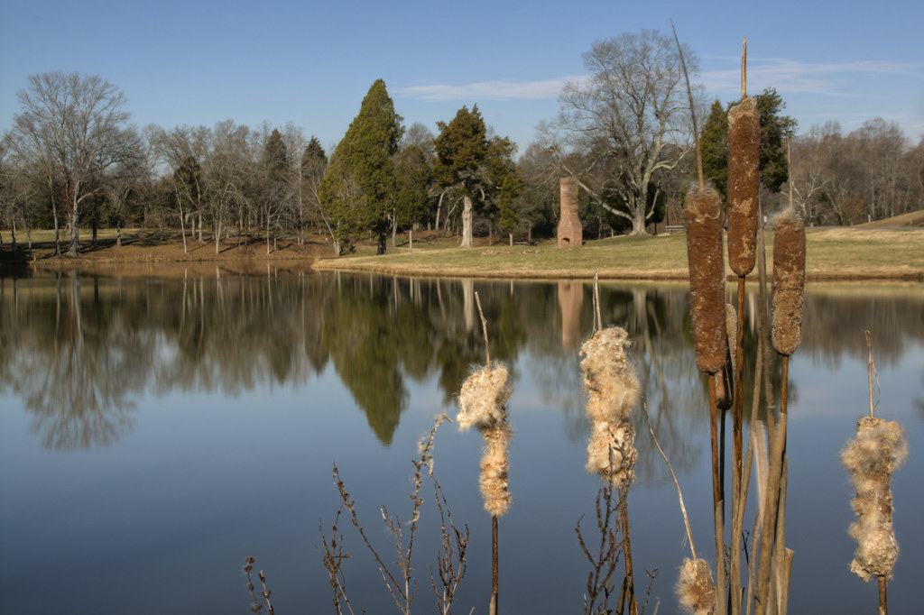 Site image