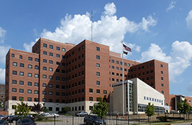 Site image