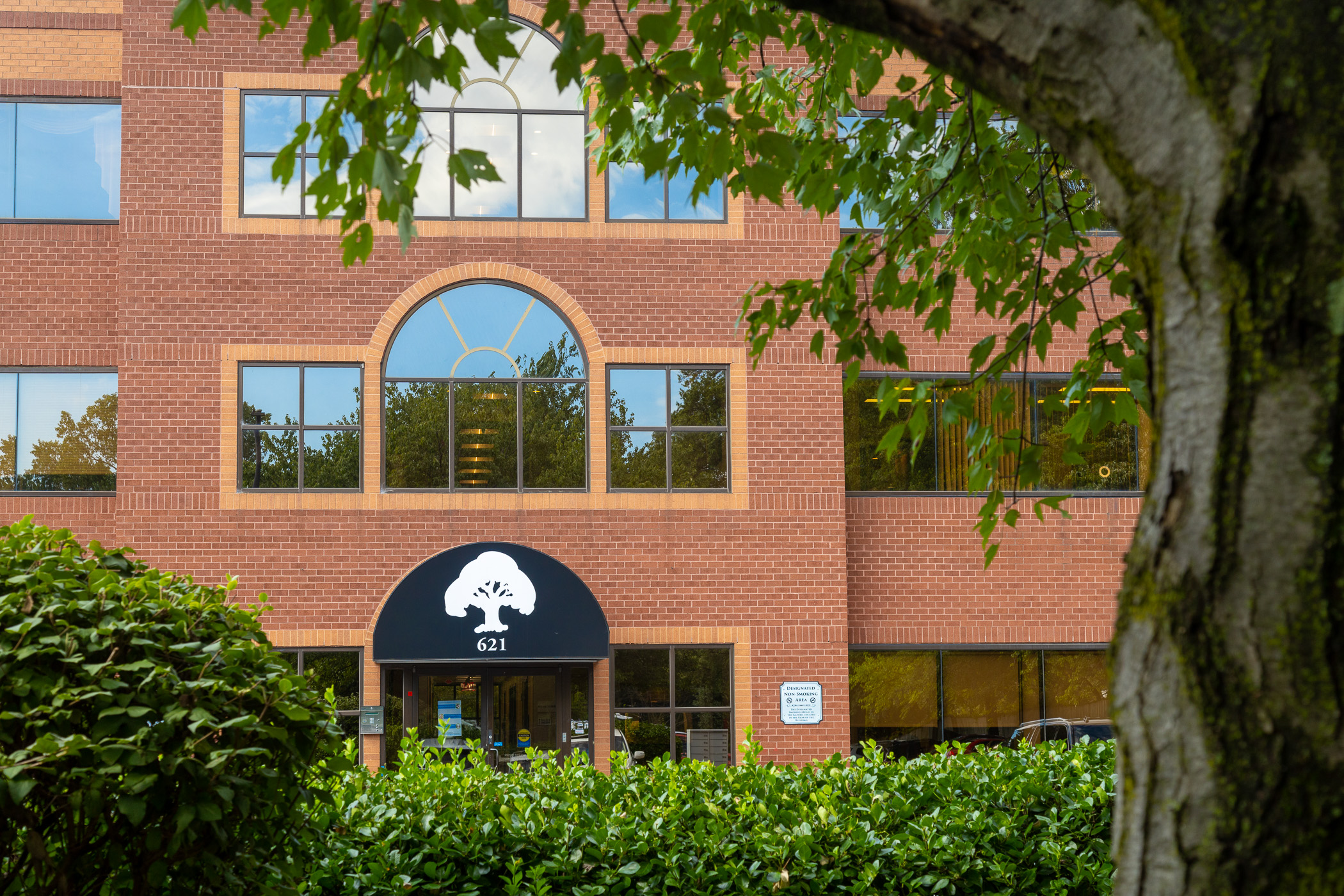 Site image
