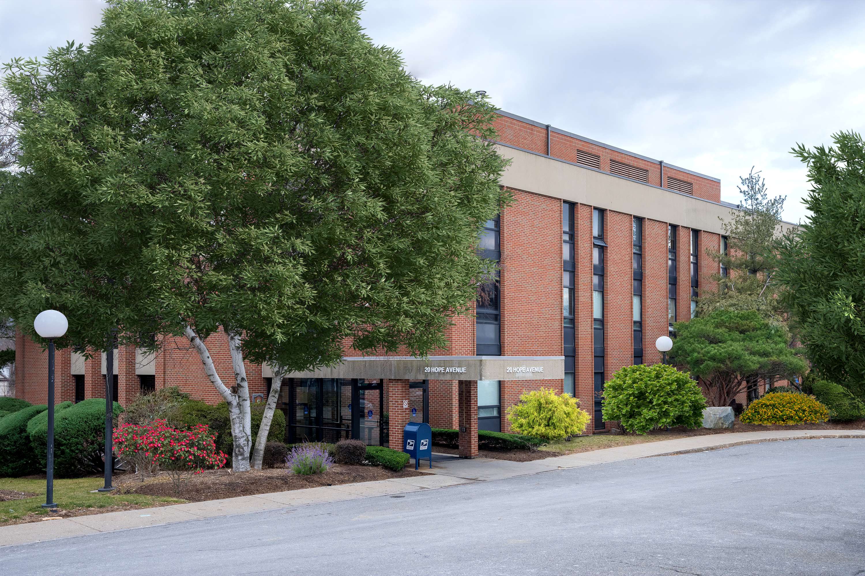 Site image