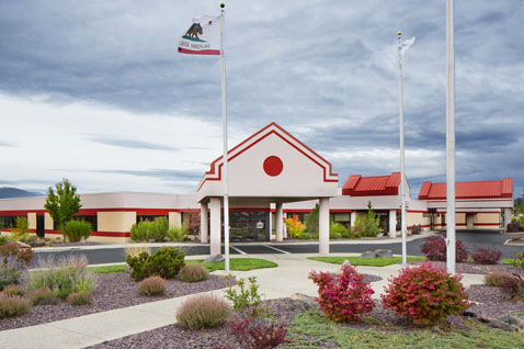 Site image