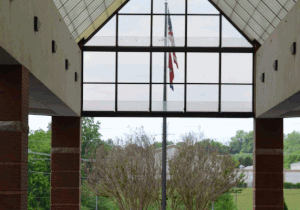 Site image