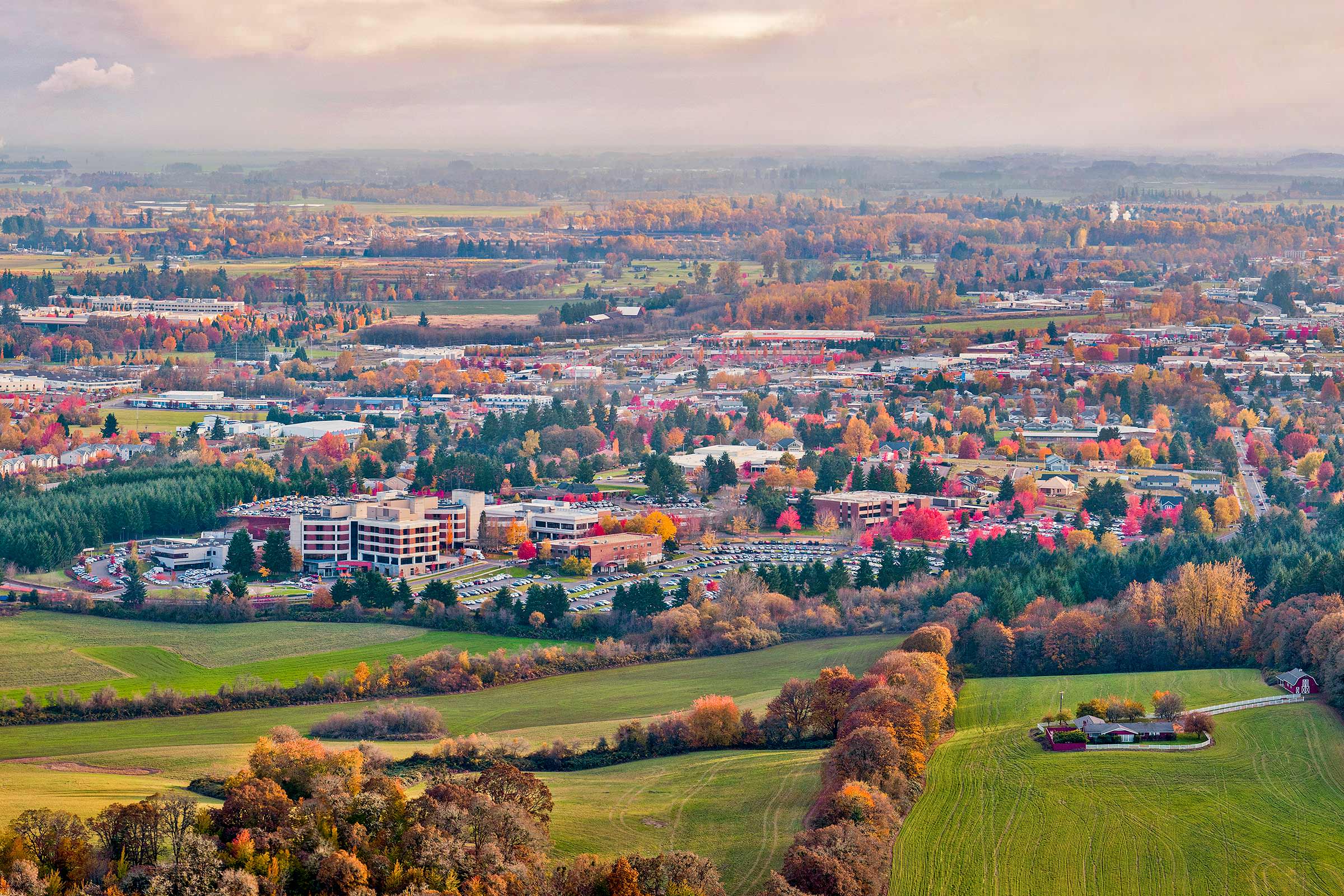 Site image