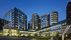 Site image