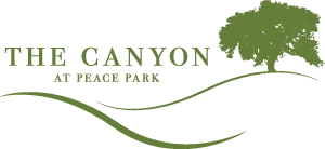 The Canyon at Peace Park
