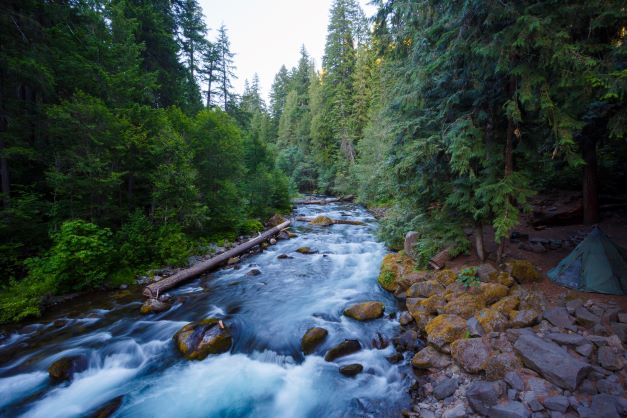 Image - Umpqua_river1__20220411_113706217_.jpg