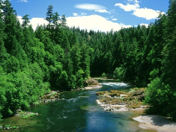 Image - douglas_county__20201028_184445252_.jpg