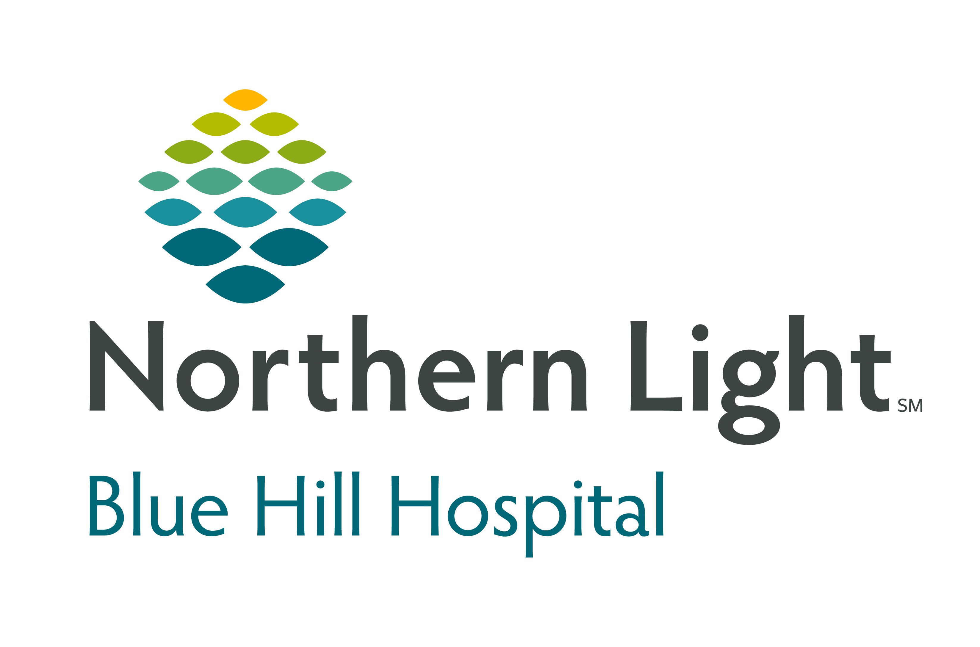 Northern Light Blue Hill Hospital